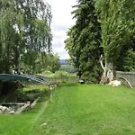Kranio *