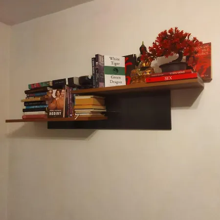 Apartment Kranio *