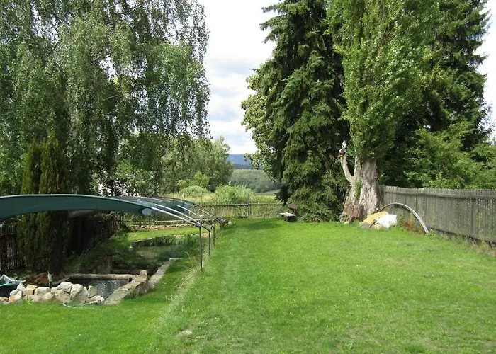 Kranio *