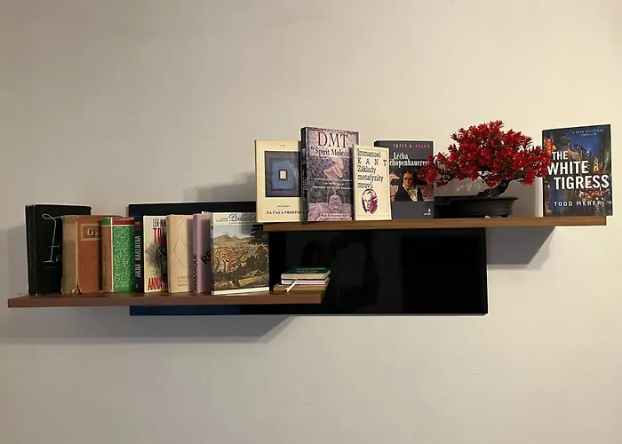 Kranio Apartamento *